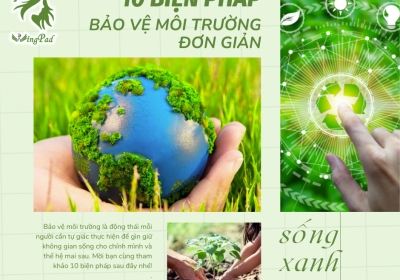 10 BIỆN PHÁP BẢO VỆ MÔI TRƯỜNG ĐƠN GIẢN