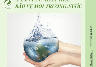 10 BIỆN PHÁP THIẾT THỰC BẢO VỆ MÔI TRƯỜNG NƯỚC