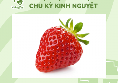 10 SỰ THẬT THÚ VỊ VỀ CHU KỲ KINH NGUYỆT