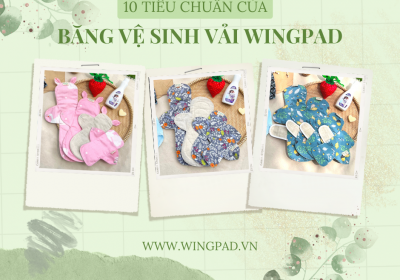 10 TIÊU CHUẨN CỦA BĂNG VỆ SINH VẢI WINGPAD