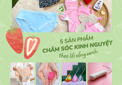 5 SẢN PHẨM CHĂM SÓC KINH NGUYỆT THEO LỐI SỐNG XANH