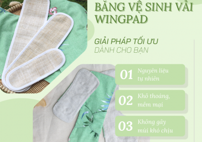 BĂNG VỆ SINH GIẢ GÂY NÊN NHỮNG HẬU QUẢ GÌ?