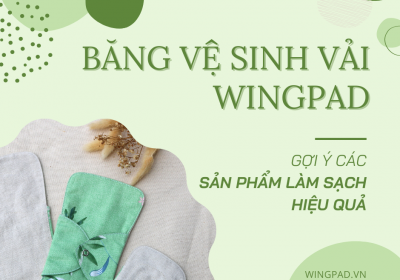 BĂNG VỆ SINH VẢI WINGPAD - GỢI Ý CÁC SẢN PHẨM LÀM SẠCH HIỆU QUẢ