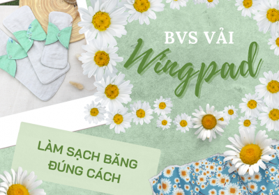 BĂNG VỆ SINH VẢI WINGPAD - LÀM SẠCH BĂNG ĐÚNG CÁCH