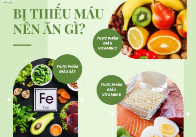 BỊ THIẾU MÁU NÊN ĂN GÌ?