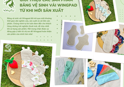 GIỚI THIỆU CÁC SẢN PHẨM BĂNG VỆ SINH VẢI WINGPAD TỪ KHI MỚI SẢN XUẤT