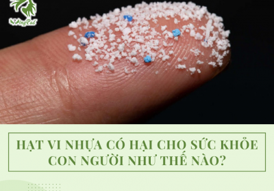 HẠT VI NHỰA CÓ HẠI CHO SỨC KHỎE CON NGƯỜI NHƯ THẾ NÀO?