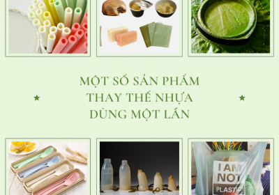 MỘT SỐ SẢN PHẨM THAY THẾ NHỰA DÙNG MỘT LẦN