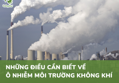 NHỮNG ĐIỀU CẦN BIẾT VỀ Ô NHIỄM MÔI TRƯỜNG KHÔNG KHÍ