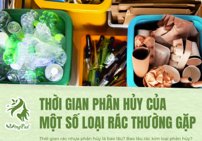 THỜI GIAN PHÂN HỦY CỦA RÁC THƯỜNG GẶP