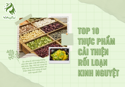 TOP 10 THỰC PHẨM CẢI THIỆN RỐI LOẠN KINH NGUYỆT