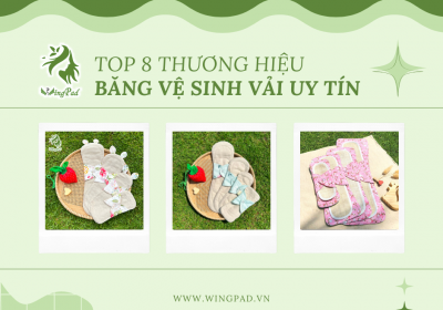 TOP 8 THƯƠNG HIỆU BĂNG VỆ SINH VẢI UY TÍN
