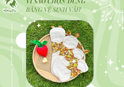 VÌ SAO CHỌN DÙNG BĂNG VỆ SINH VẢI?