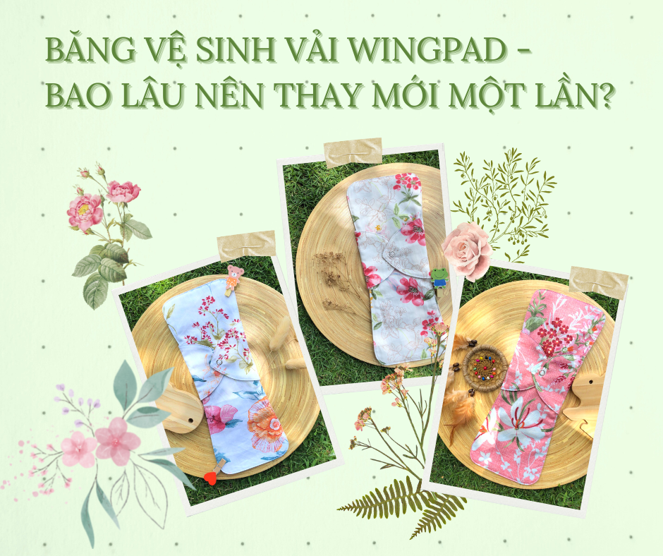 BĂNG VỆ SINH VẢI WINGPAD - BAO LÂU NÊN THAY MỚI MỘT LẦN?