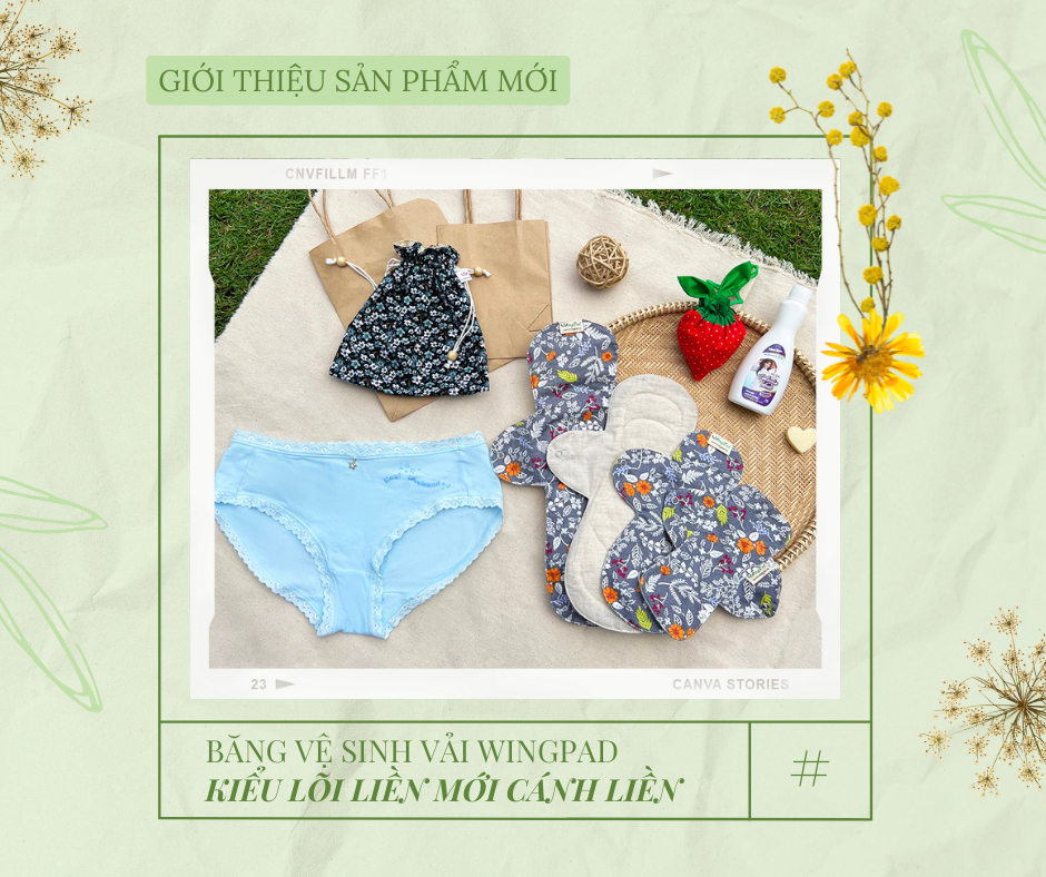 GIỚI THIỆU SẢN PHẨM MỚI: BĂNG VỆ SINH VẢI WINGPAD KIỂU LÕI LIỀN MỚI CÁNH LIỀN 