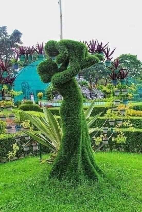 Chị HOA XƯƠNG RỒNG