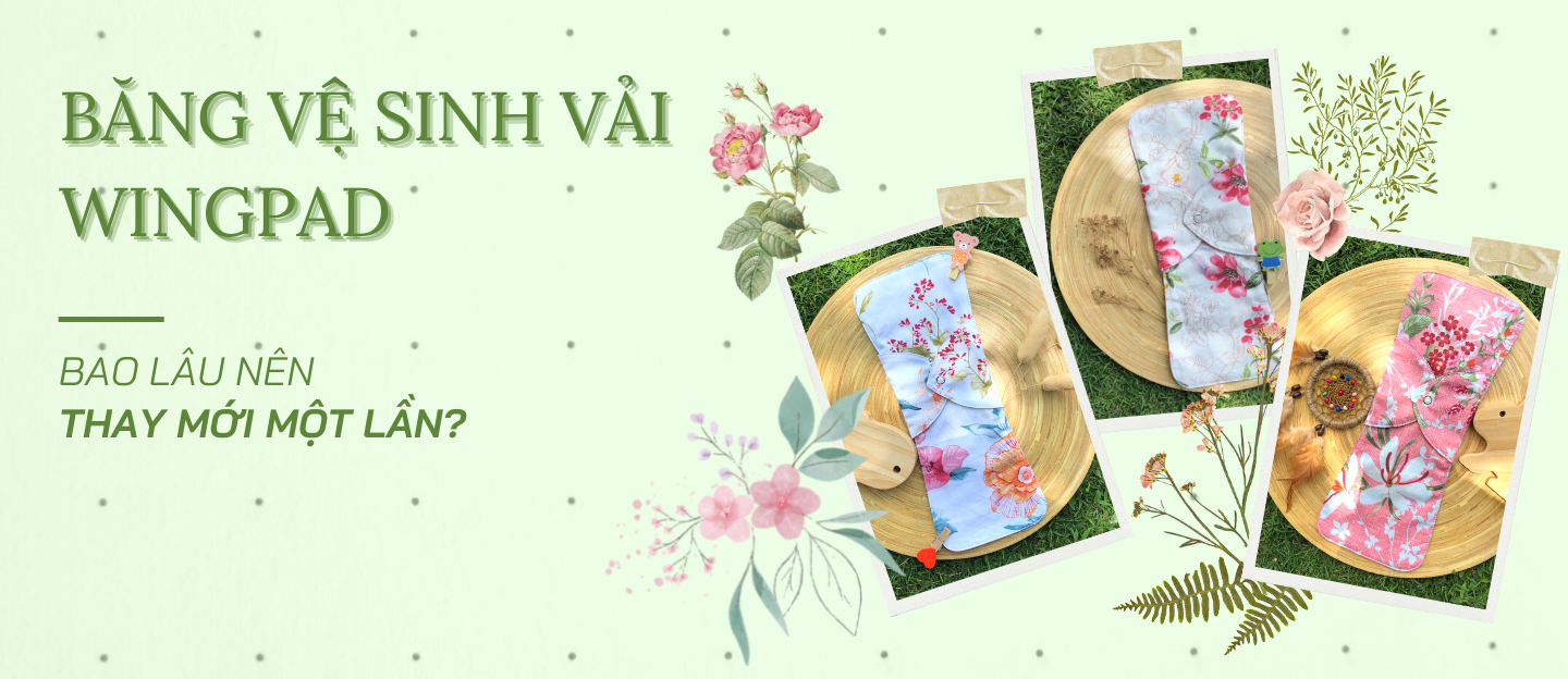 BĂNG VỆ SINH VẢI WINGPAD - BAO LÂU NÊN THAY MỚI MỘT LẦN?